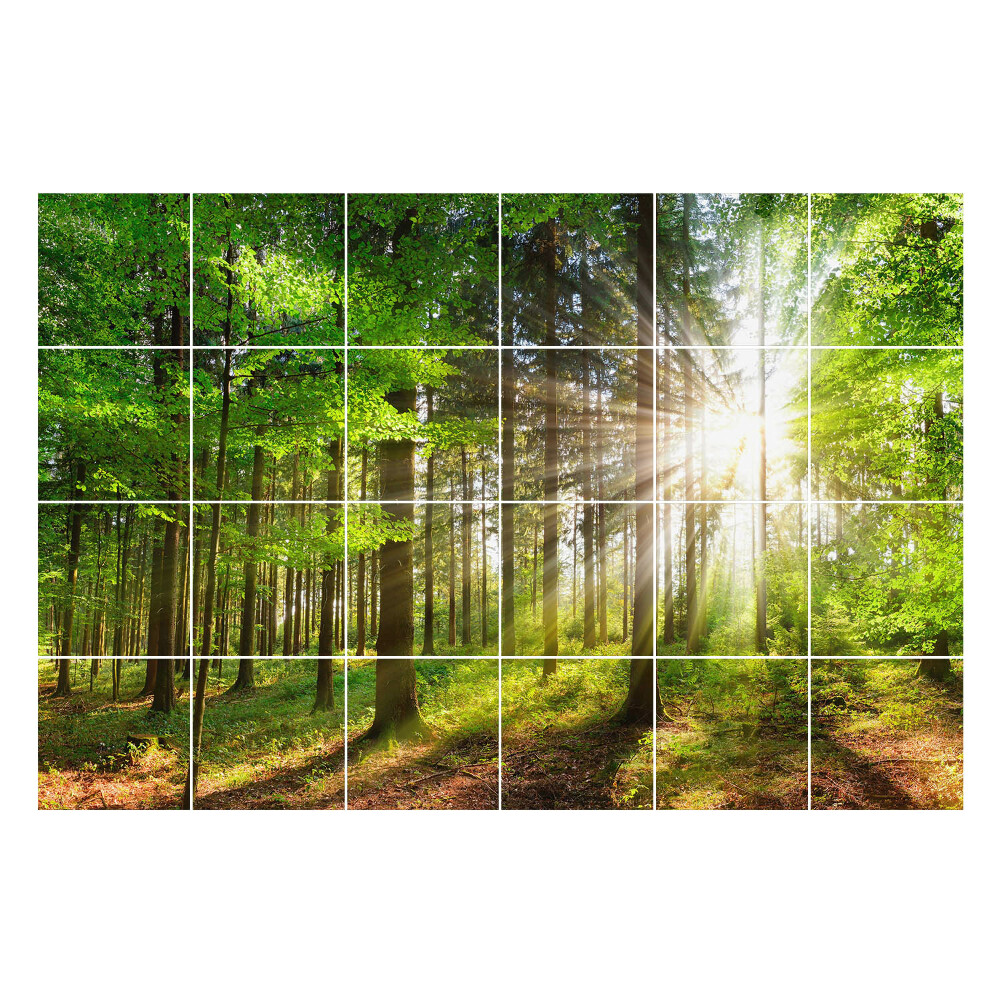 Nálepka na dlaždice Sluneční paprsky v lese