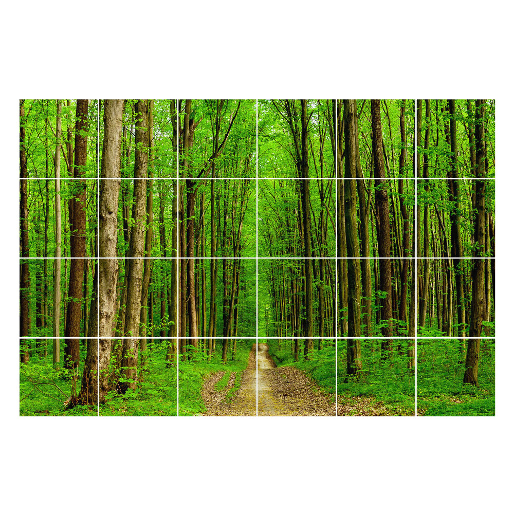 Nálepka na dlaždice Zelená lesní stezka