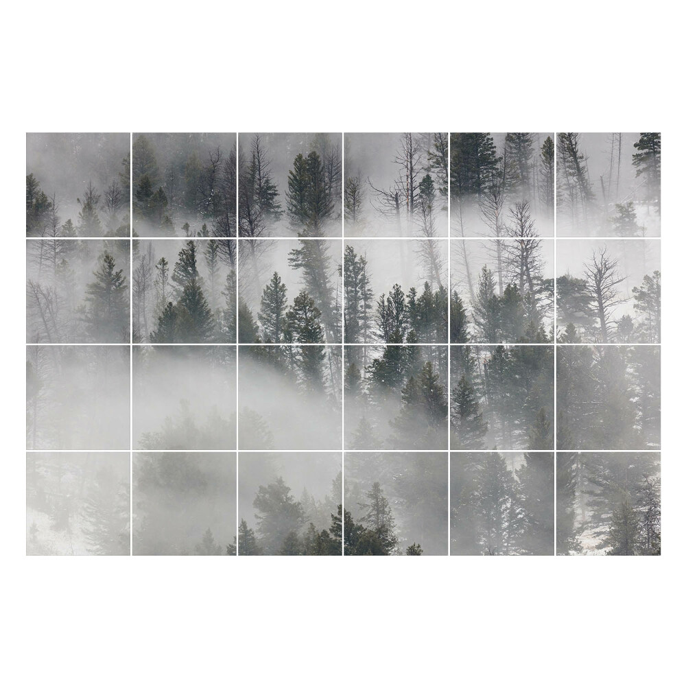 Samolepka na dlaždice Mlžné lesní scenérie
