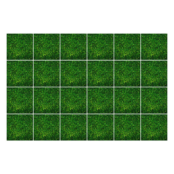 Samolepka na dlaždice Textura rostlin