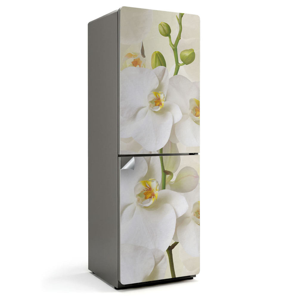 Fototapeta na chladničku Květinové detaily orchideje