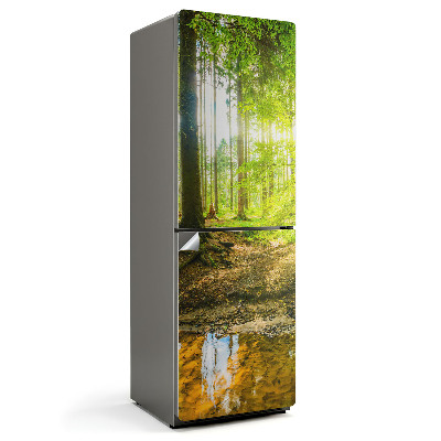 Fototapeta na chladničku Lesní krajina s vodou