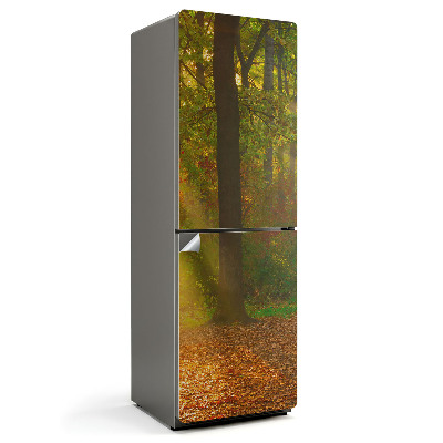 Fototapeta na chladničku Kouzelná lesní scenérie