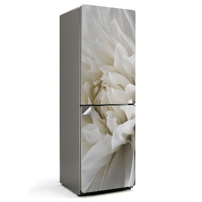 Fototapeta na chladničku Jemné okvětní lístky