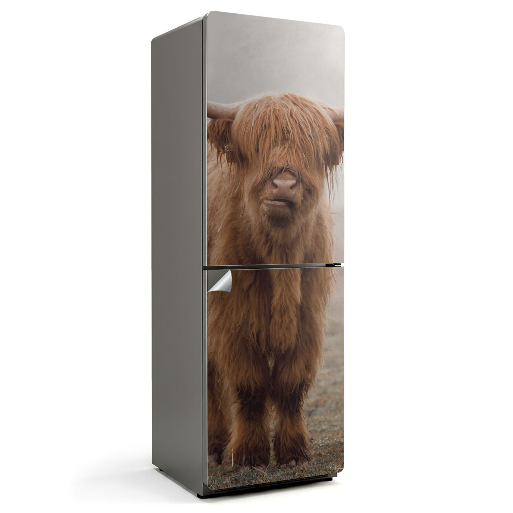 Fototapeta na chladničku Mladý dobytek v mystické mlze