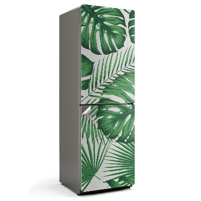 Fototapeta na chladničku Složení tropického listu