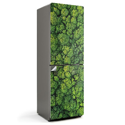 Nálepky na chladničku Pohled shora na hustý les