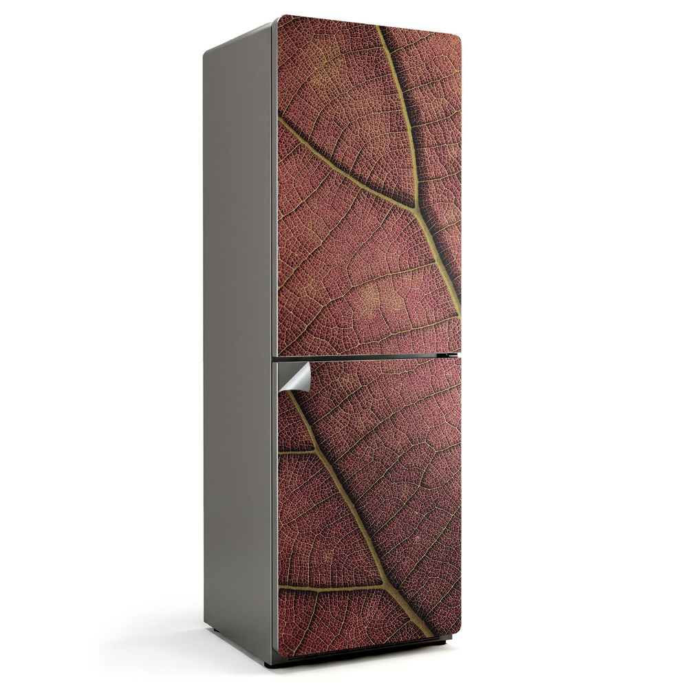 Fototapeta na chladničku Textura listů s žilkami