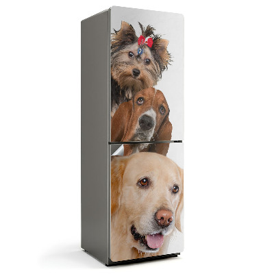 Nálepky na chladničku Tři psi v jednom rámu