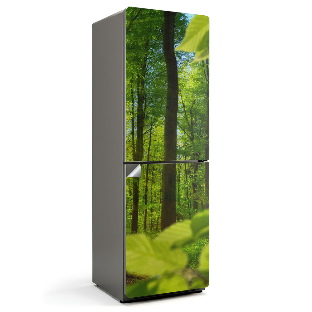 Nálepky na chladničku Zelený les na slunci