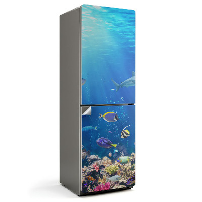 Nálepky na chladničku Podmořský svět ryb