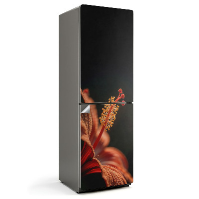 Nálepky na chladničku Detail jemné květiny