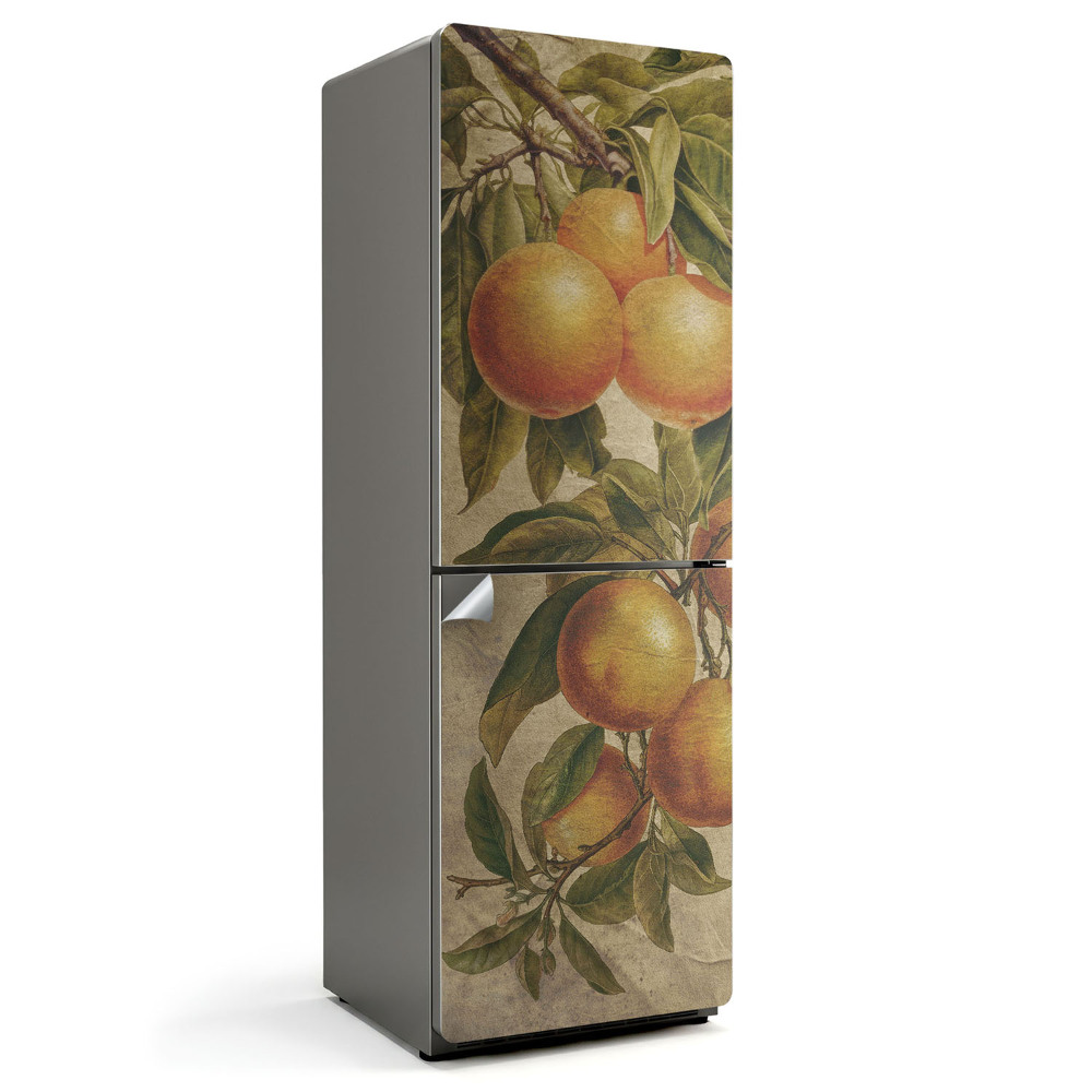 Nálepky na chladničku Větev s citrusovými plody