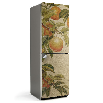 Fototapeta na chladničku Větve s ovocem