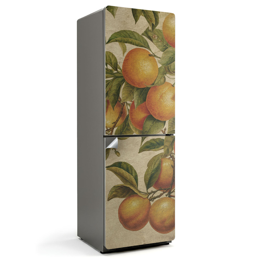 Nálepky na chladničku Ovoce na větvi