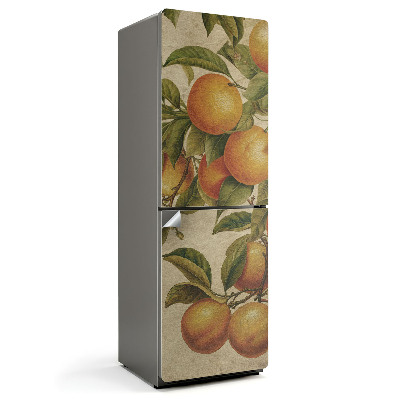 Nálepky na chladničku Ovoce na větvi