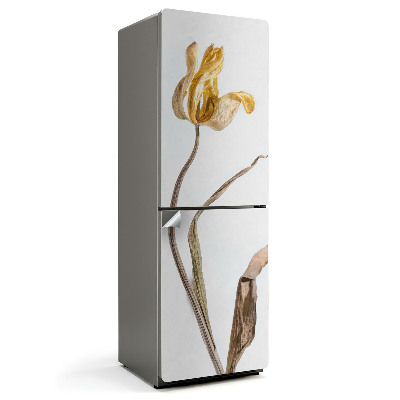 Nálepky na chladničku Sušený květ tulipánu