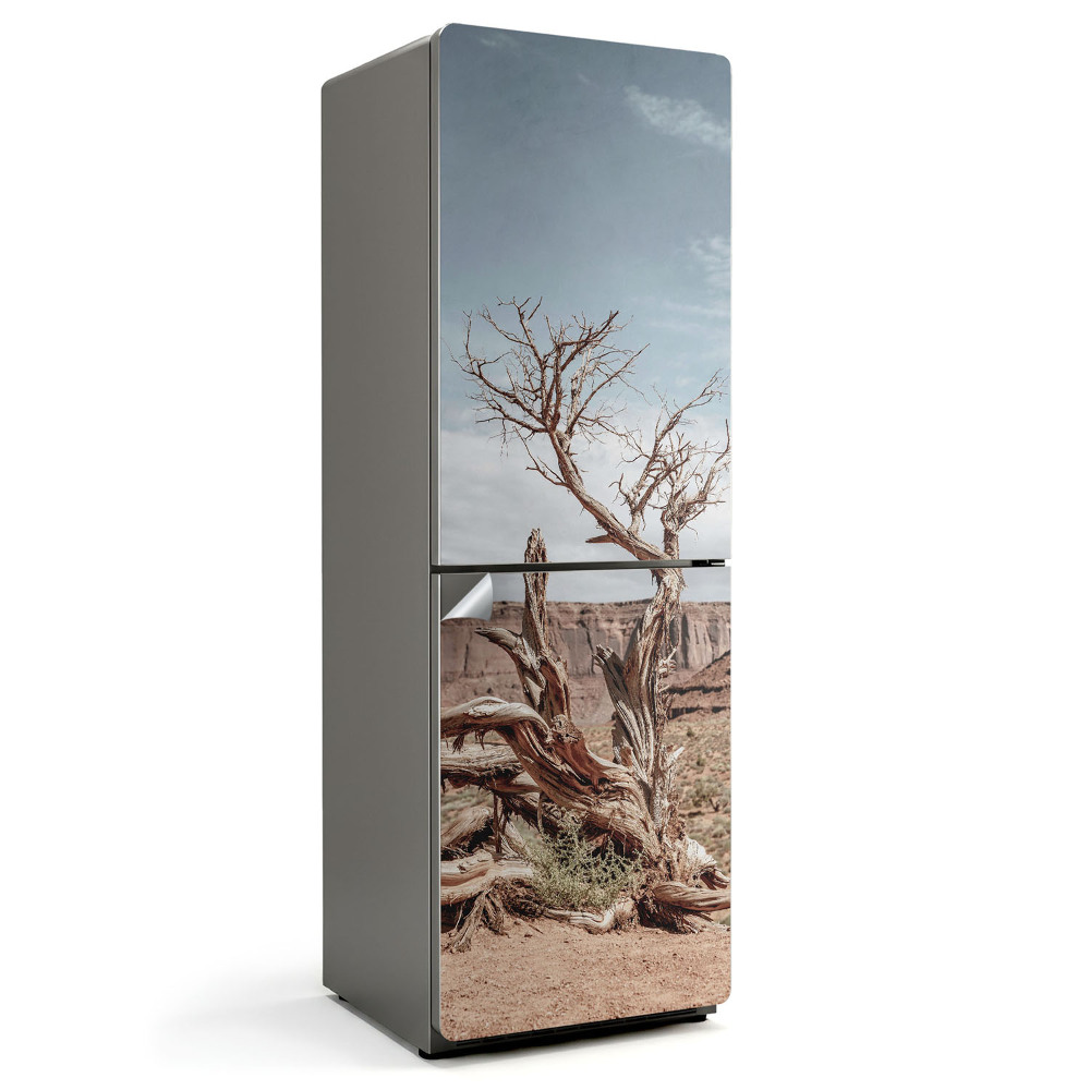 Nálepky na chladničku Zkroucený kmen stromu