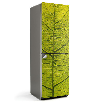 Nálepky na chladničku Detail listu rostliny