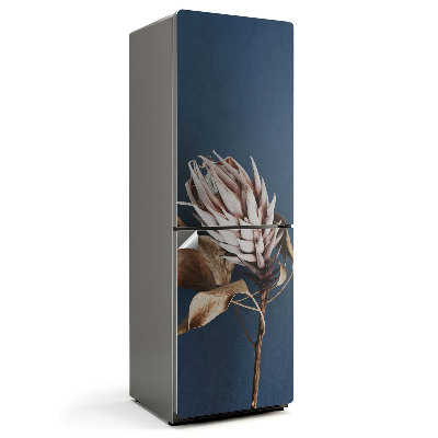 Fototapeta na chladničku Detailní záběr na sušené rostliny