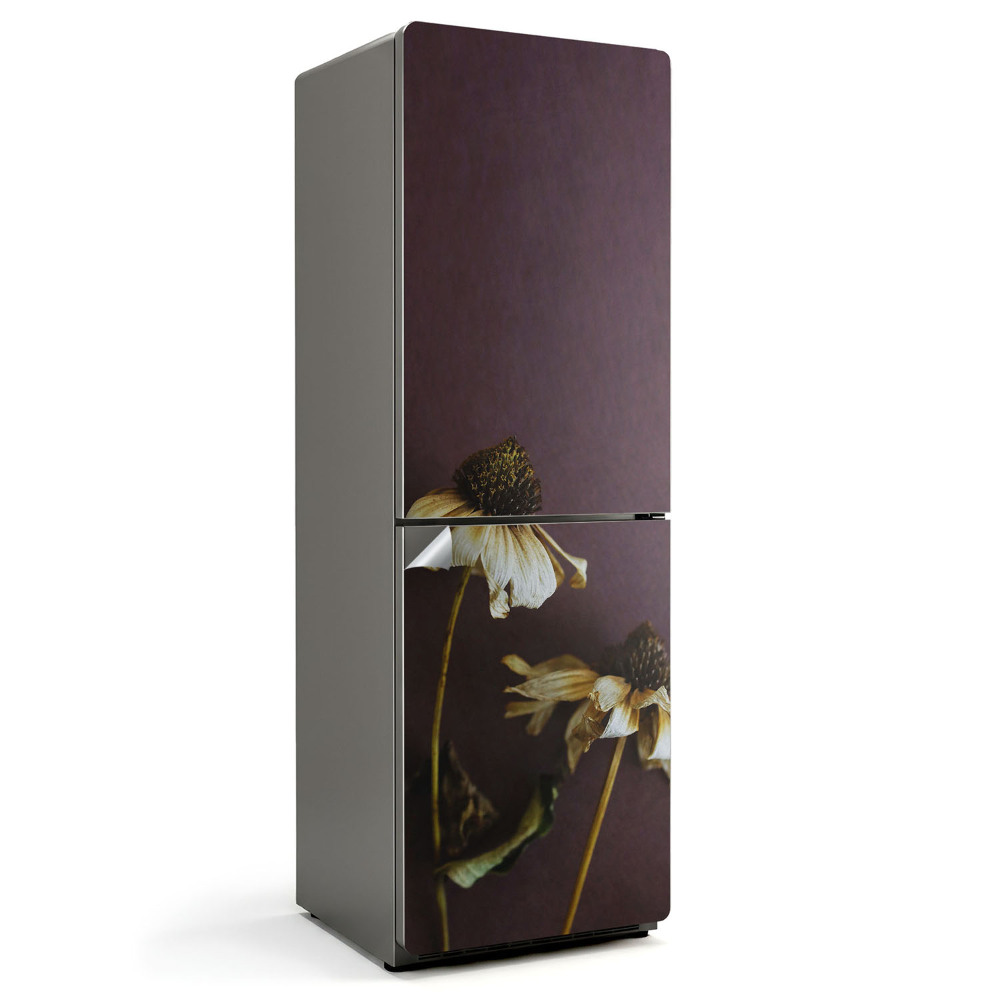 Fototapeta na chladničku Sušené květiny v detailu