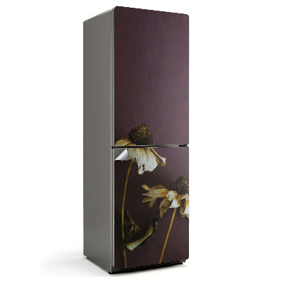 Fototapeta na chladničku Sušené květiny v detailu