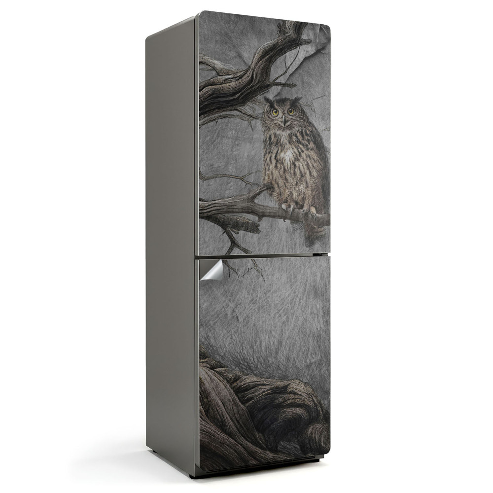 Fototapeta na chladničku Sova na větvi v lese