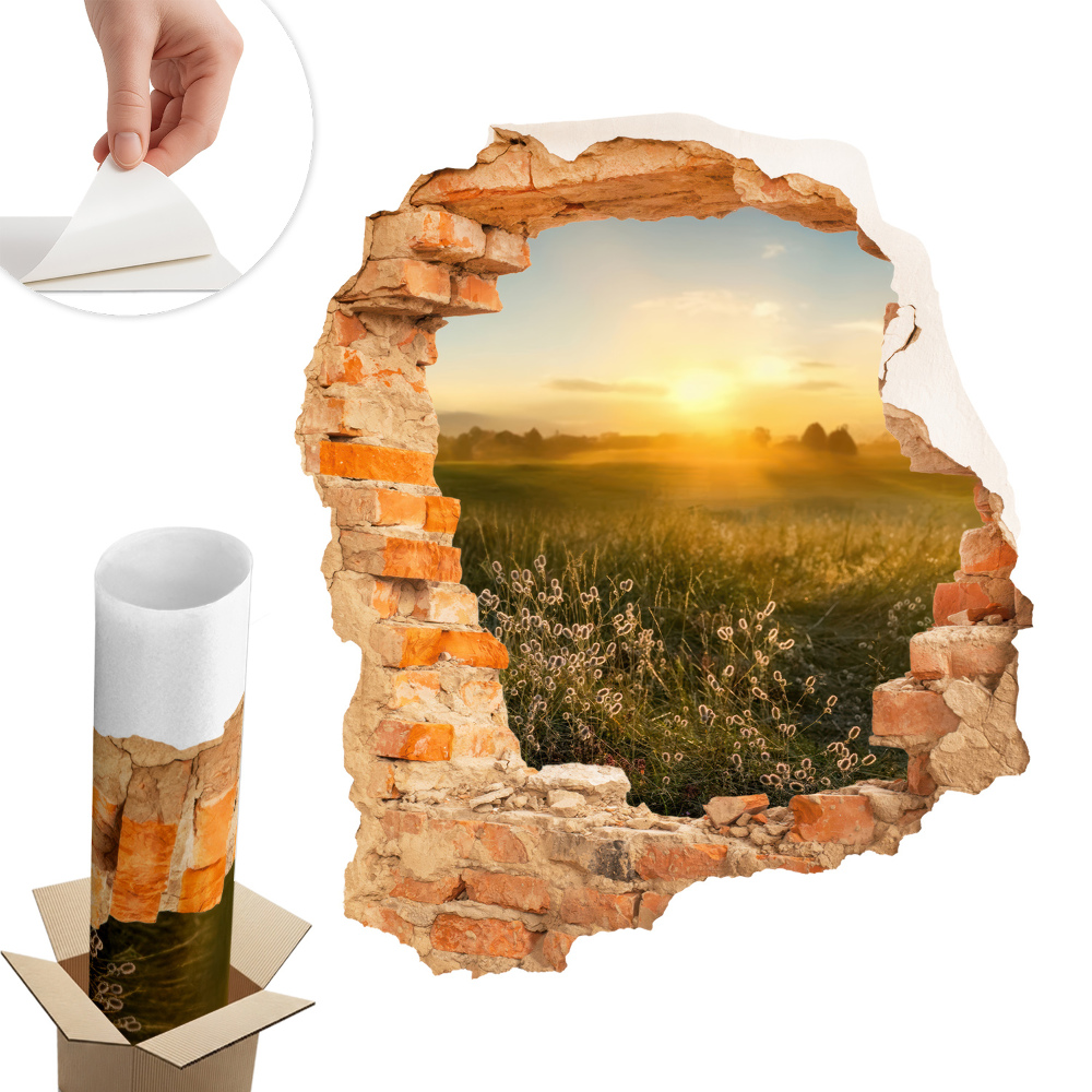 Fototapeta díra ve zdi 85x100 Slunečná louka