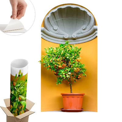 3D samolepka na zeď 55x100 Pomerančovník