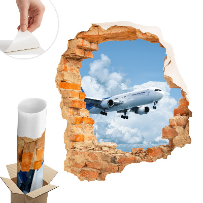 Fototapeta díra ve zdi 111x130 Letecký objev