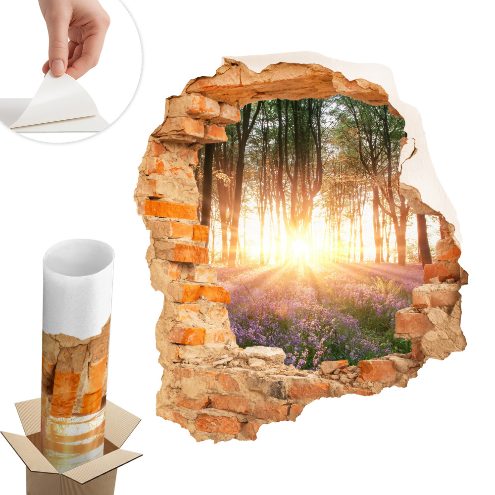 Fototapeta díra ve zdi 111x130 Průlom v lese