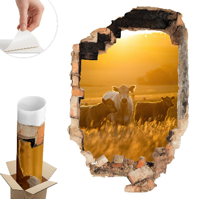 3D samolepka díra 40x60 Venkovská krajina