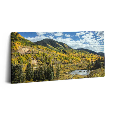 Obraz na plátně 100x50 cm Krajina s horskou vegetací