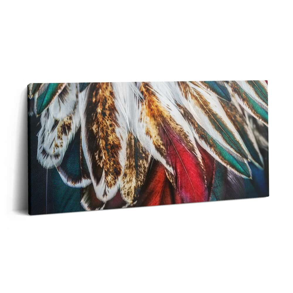 Obraz canvas 100x50 cm Světle hnědé ptačí peří