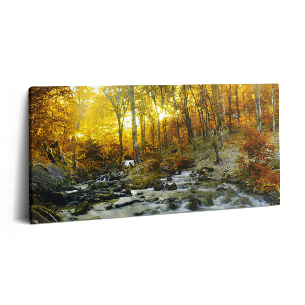 Obraz na plátně 100x50 cm Podzimní les