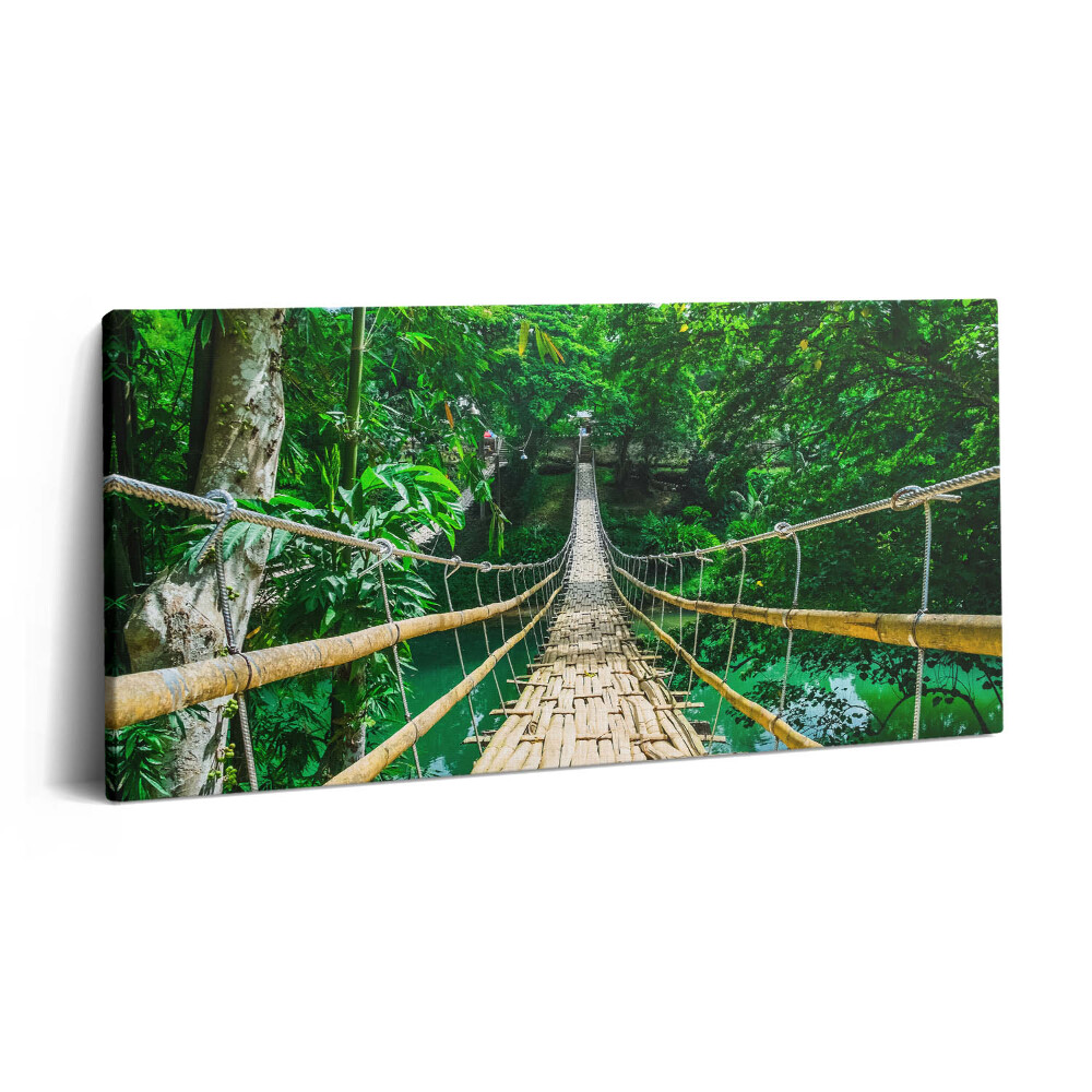 Obraz canvas 100x50 cm Most v lese na Filipínách