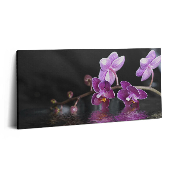 Obraz z fotografie na plátně 100x50 cm Růžový květ orchideje na vodě