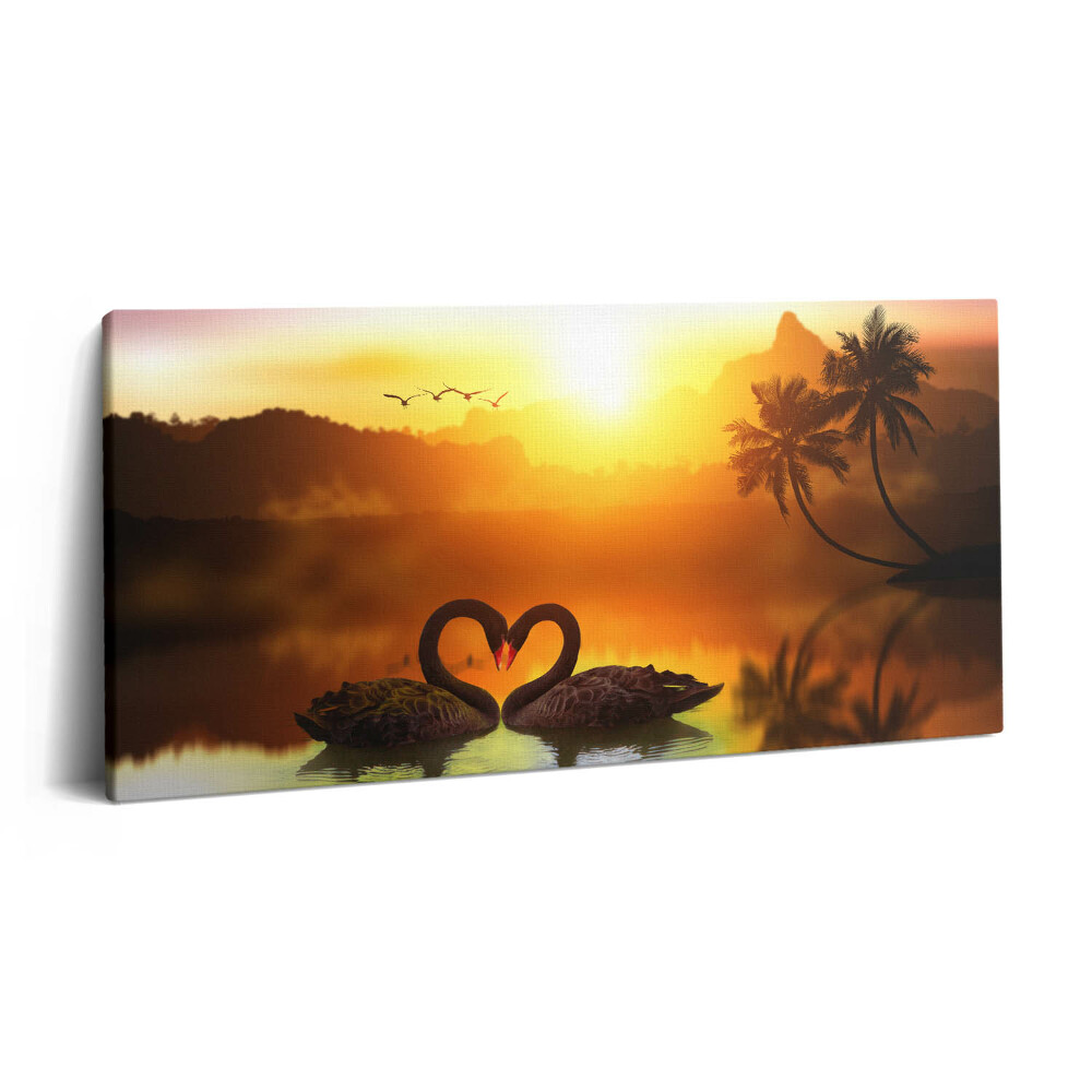 Obraz canvas 100x50 cm Krásná černá labuť na jezeře