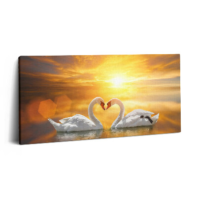 Obraz z fotografie na plátně 100x50 cm Zamilované labutě