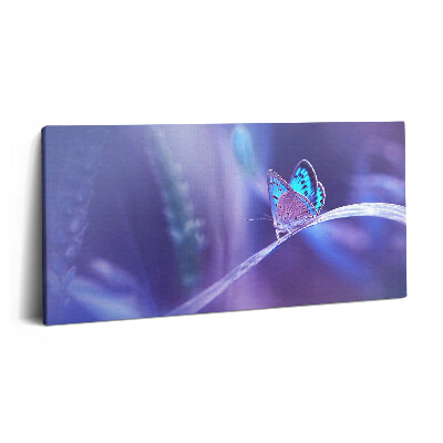 Obraz canvas 100x50 cm Motýl na trávě