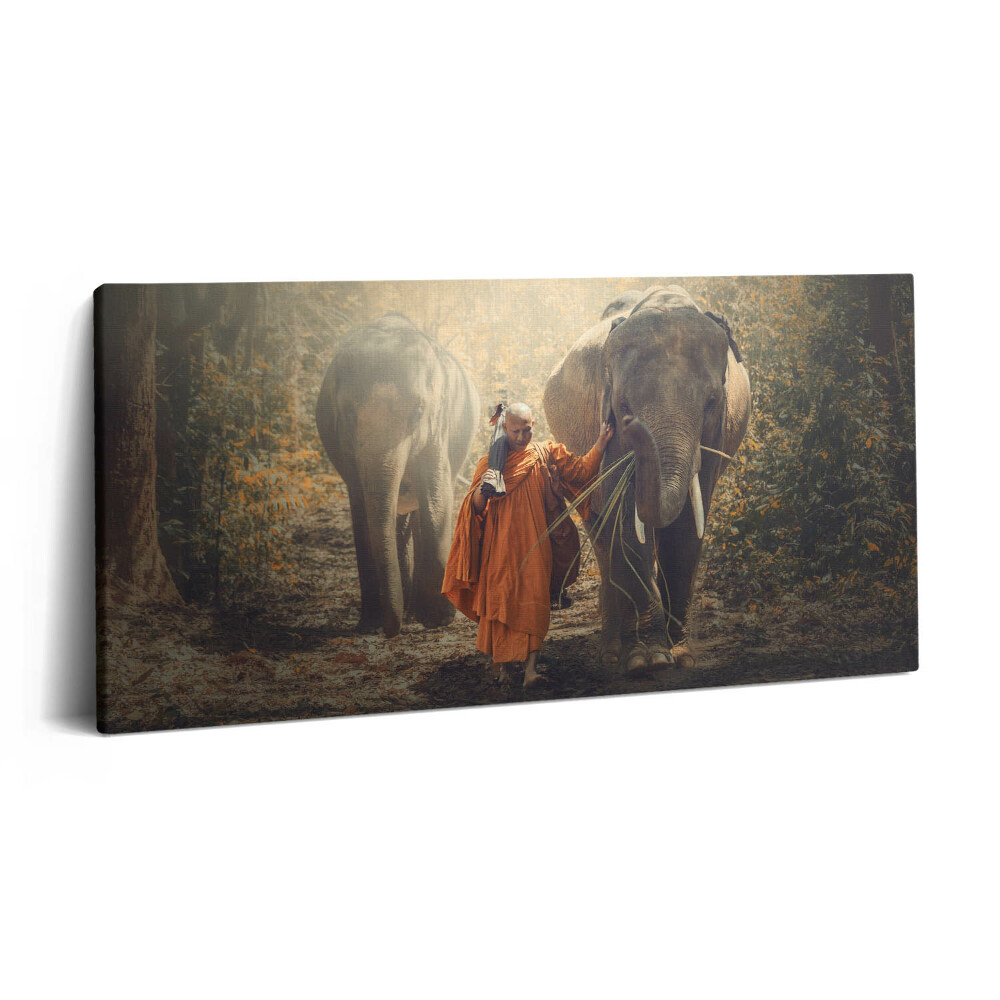 Obraz na plátně 100x50 cm Mnich a sloni
