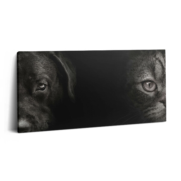 Obraz na plátně 100x50 cm Labradorský pes a skotská kočka