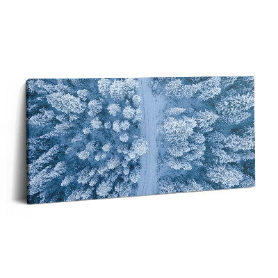 Obraz na plátně 100x50 cm Les z ptačí perspektivy. Drony