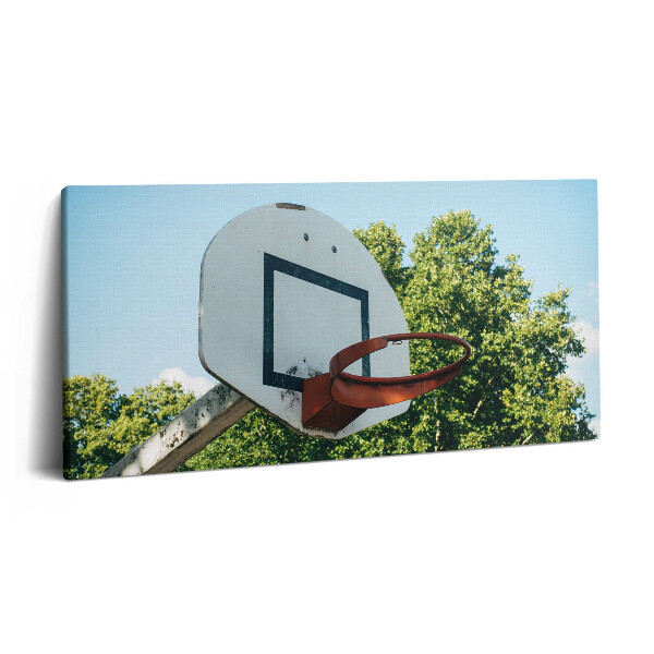 Obraz z fotografie na plátně 100x50 cm Basketbalové sporty