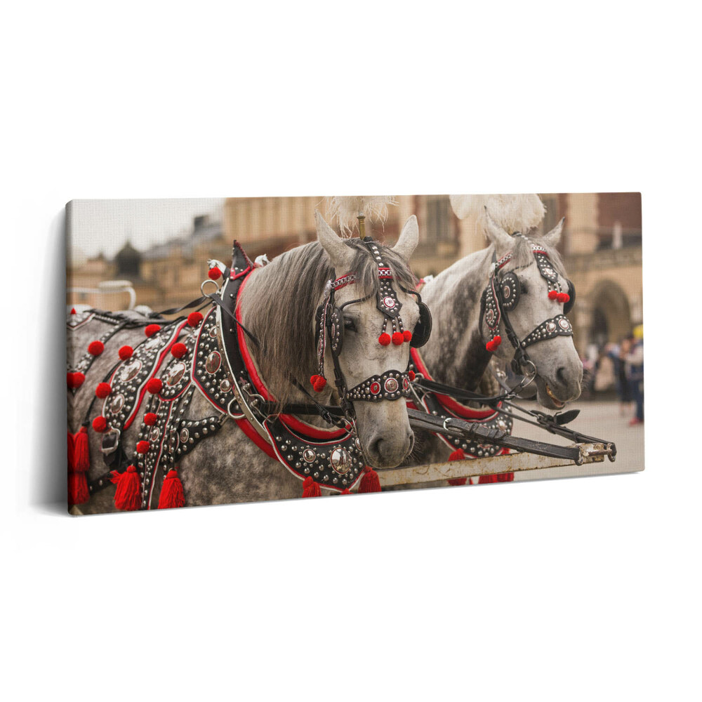 Obraz z fotografie na plátně 100x50 cm Krásní koně v Krakově
