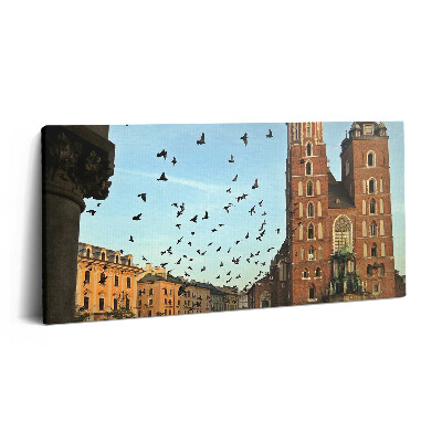Obraz na plátně 100x50 cm Holubi v Krakově