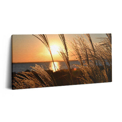 Obraz z fotografie na plátně 100x50 cm Pšenice ve zlaté hodině