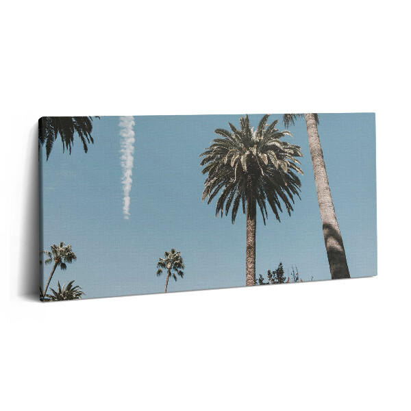 Obraz na plátně 100x50 cm Palmy v Los Angeles