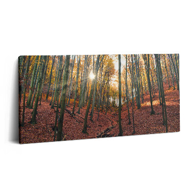 Obraz canvas 100x50 cm Západ slunce a stromy