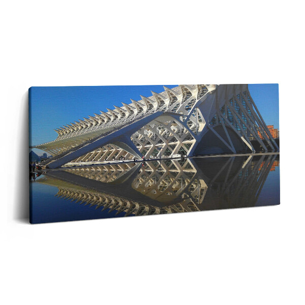 Obraz na plátně 100x50 cm Muzeum vědy ve Valencii
